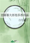 《首辅寡夫郎他茶香四溢》封面