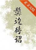 《鬓边待诏》封面