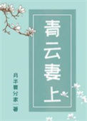 《青云妻上》封面