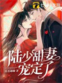 《陆少甜妻宠定了》封面