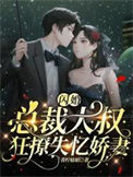 《闪婚，总裁大叔狂撩失忆娇妻》封面