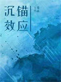 《沉锚效应》封面