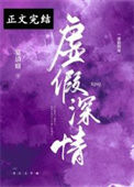 《虚假深情》封面
