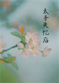 《丞相夫人失忆后》封面