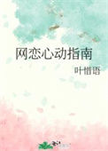 《网恋心动指南》封面