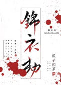 《锦衣劫》封面