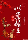 《清之以柔媚上》封面