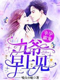 《幸孕霸宠：九爷，早上见！》封面