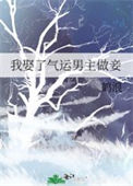 《我娶了气运男主做妾》封面
