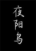 《夜阳鸟》封面