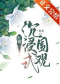 《红楼沉浸式围观》封面