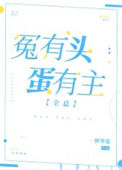 《冤有头蛋有主[全息]》封面
