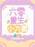 《六零重生小夫妻》封面