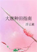《大唐种田指南》封面