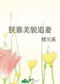 《朕靠美貌追妻》封面
