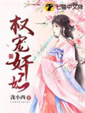 《权宠奸妃》封面