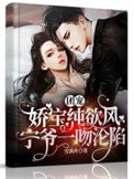 《团宠娇宝纯欲风，宁爷一吻沦陷》封面