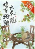 《鸡飞狗跳大杂院》封面