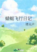 《蜻蜓飞行日记》封面