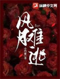 《风月难逃》封面