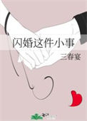 《闪婚这件小事》封面