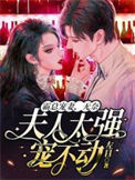 《霸总宠妻，无奈夫人太强宠不动》封面