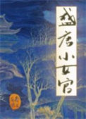《盛唐小女官》封面