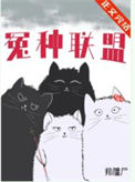 《冤种联盟！》封面