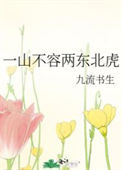 《一山不容两东北虎》封面