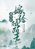 《重生后嫁给摄政王》封面