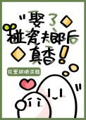 《娶了碰瓷夫郎后真香》封面
