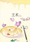 《王术》封面