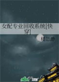 《女配专业回收系统[快穿]》封面