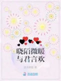 《晓陌微暖与君言欢》封面