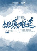 《她真的很难追》封面