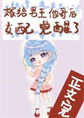 《嫁给男主他哥后女配觉醒了》封面