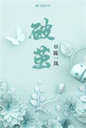 《破茧》封面
