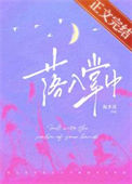 《落入掌中》封面
