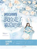 《被迫离婚，我捡走了霸总的崽》封面