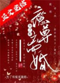 《为了和魔尊离婚》封面