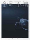 《金刚不坏》封面