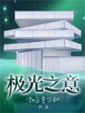 《极光之意》封面