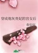 《穿成炮灰贵妃的宫女后》封面