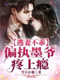 《逃妻不乖：偏执墨爷，疼上瘾》封面