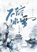 《不辞冰雪》封面