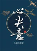 《心尖意》封面