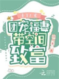 《重生八零：团宠福妻带空间致富》封面