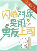 《闪婚对象是前男友上司》封面
