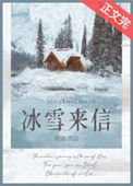 《冰雪来信》封面