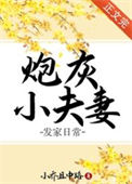 《炮灰小夫妻发家日常》封面